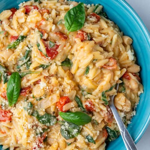 Simple Orzo Pasta Recipes for Busy Families