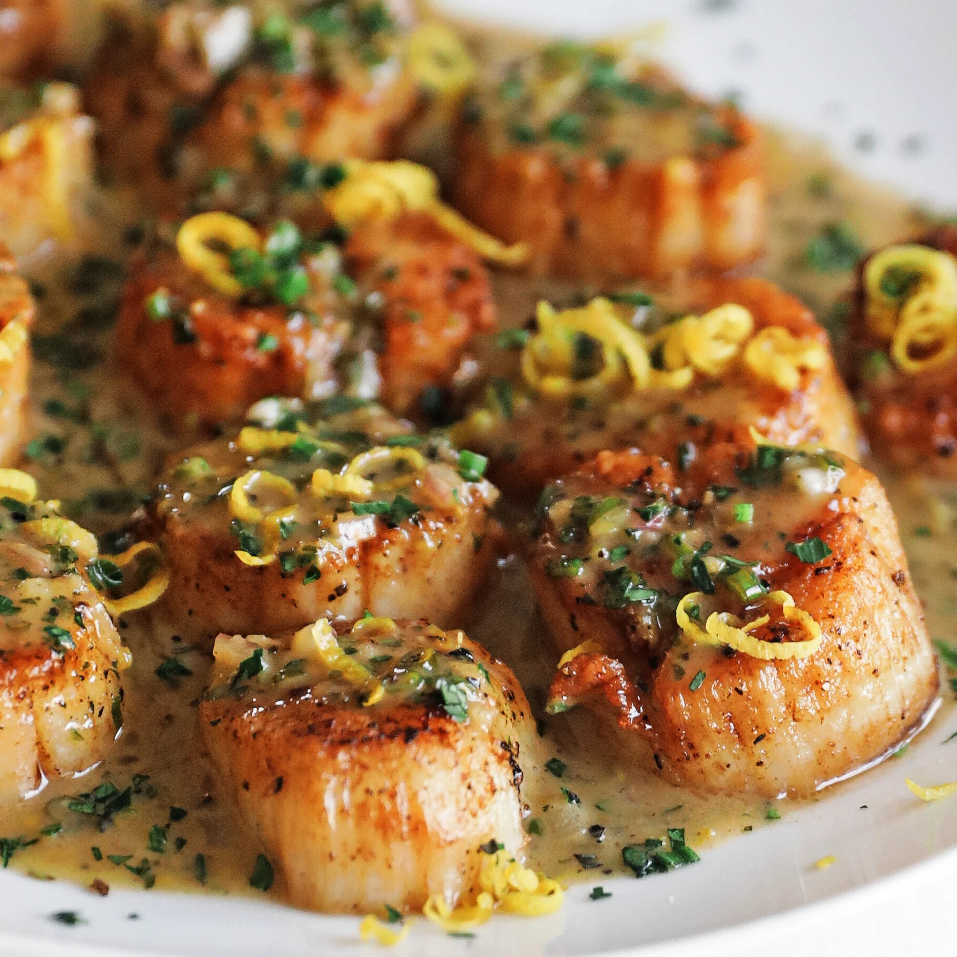 Best Seared Scallop Recipes – Restaurant-Quality at Home